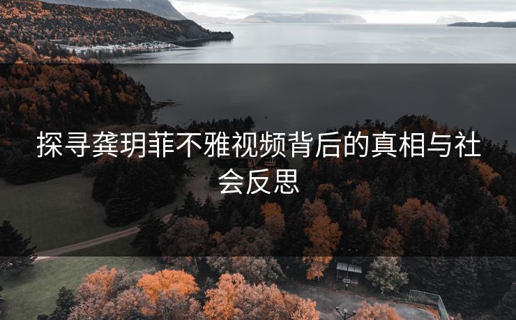 探寻龚玥菲不雅视频背后的真相与社会反思